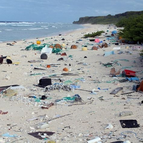 Henderson Island: This Uninhabited Island Is The World’s Most Polluted Beach Clean Up, Uninhabited Island, Buddhist Quotes, Clean Beach, Thich Nhat Hanh, Remote Island, Us Beaches, South Pacific, Strasbourg