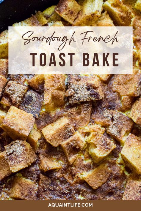 French Toast Topping, Sourdough French Toast Casserole, Sourdough French Toast, Pectin Recipes, French Toast Ingredients, French Toast Casserole Overnight, Sourdough Bread Sandwiches, Sourdough Sandwich, Discard Recipes