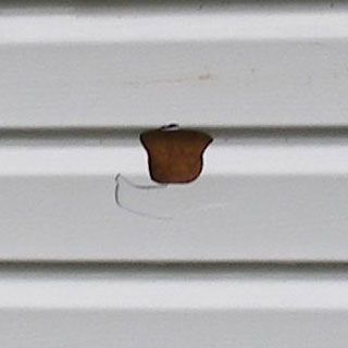 How to Fix a Hole in Vinyl Siding - Do It Yourself | PJ Fitzpatrick Vinyl Siding Repair Diy, How To Repair Vinyl Siding, Painting Exterior Vinyl Siding, How To Repair Holes In Vinyl Siding, How To Fix A Hole In Vinyl Siding, How To Fix Holes In Vinyl Siding, Vinyl Siding Makeover, Diy Siding Exterior Cheap, Repair Vinyl Siding