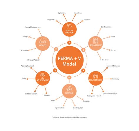 Perma Model, V Model, Life Coaching Business, Social Circle, Energy Management, Life Decisions, Support Network, Positive Emotions, Meaningful Life