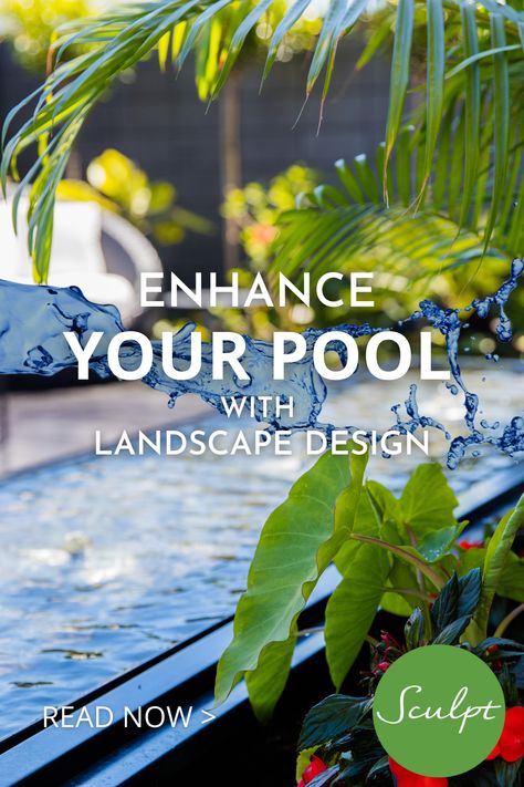 Whether you are looking for an amazing space to entertain friends and family, a decadent oasis or anything in between then great pool landscaping is the key. Our blog includes in depth tips on what to think about when designing and planning a new swimming pool, and tips for those who are wanting to enhance their current exisiting swimming pool. Queensland Pool Landscaping, Raised Pools, What To Think About, Pool Plants, Australia Landscape, In Ground Spa, Pool Fence, Small Pools, Pool Light