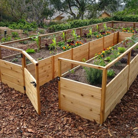 Outdoor Living Today 8x16 Deer Proof Raised Garden Bed Fenced Garden With Raised Beds, Ranch Backyard, Raised Garden Beds Layout, Garden Bed Layout, Environmental Stewardship, Deer Proof, Raised Garden Bed Plans, Cedar Raised Garden Beds, Raised Vegetable Gardens