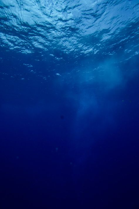 Deep blue. Cozumel, Mexico. Ruby Chu photography. Scuba diver and underwater photographer. Nature, Under Water Photography Ocean, Ocean Deep Underwater, Deep Ocean Photography, Trolls Aesthetic, Underwater Texture, Deep Blue Aesthetic, People Underwater, Underwater Photography Pool