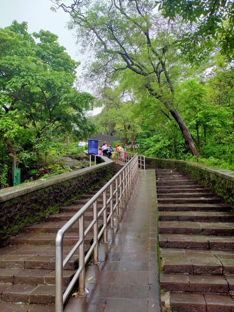 Sanjay Gandhi National Park, National Park, Snapchat, National Parks, Quick Saves