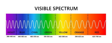 Visible light spectrum. Optical light wavelength. Electromagnetic visible color spectrum for human eye. Vector gradient diagram with wavelength and colors. Educational illustration on white background Spectrum Tattoo, Visible Light Spectrum, Light Spectrum, Visible Spectrum, Electromagnetic Spectrum, Shingle Colors, Educational Illustration, White Tattoo, Color Spectrum