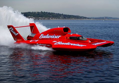 Miss Bud Budweiser Big Red, classic unlimited class hydroplane hydroplanes hydro hydros racing boat boats Drag Boat Racing, Hydroplane Racing, Jet Turbine, Hydroplane Boats, Radio Controlled Boats, Bohemian Life, Fast Boats, Rc Boat, Speed Boat