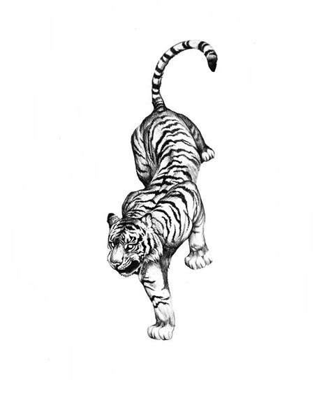 Tier Tattoo, Cute Tattoo Ideas, Minimalist Tattoo Ideas, Tiger Tattoo Design, Back Tattoos For Guys, Cute Tattoo, Tattoo Style Drawings, Tattoo Design Book, Imagine If