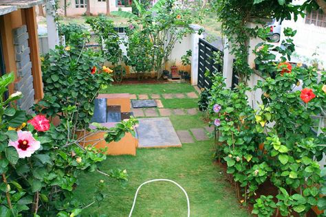 Hidden Valley Hibiscus Worldwide ~ Hibiscus Garden in Bangalore, India Indian Home Garden Design, Garden Ideas India, Growing Hibiscus, Hibiscus Garden, Indian Garden, Garden Nook, Easy Backyard, Home Garden Plants, Garden Makeover