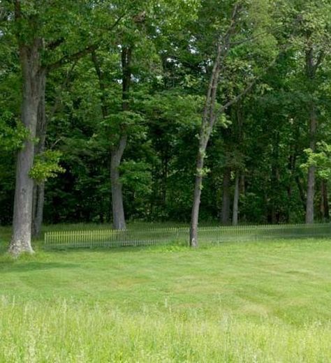 Invisible Fence that Reflects Beautiful Landscaping Trees In Spring, Short Fence, Invisible Fence, Beautiful Landscaping, Green Fence, Diy Garden Fountains, Garden Fountain, Traditional Garden, Outdoor Decor Backyard