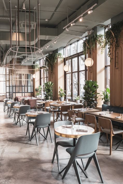 Asthetique-Designed The Y in Moscow is Ready Made for Millennials - Interior Design Millennial Interior Design, Bistro Interior Design, Bistro Interior, Open Kitchens, Expect Nothing, Vintage Interior Design, Vintage Cafe, French Restaurants, Private Dining Room