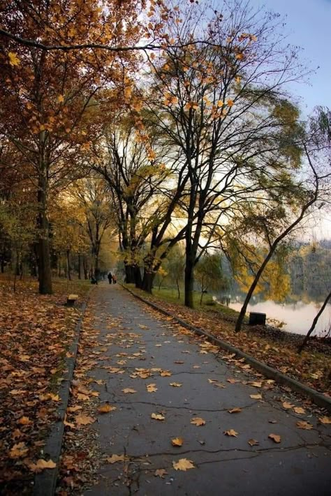 Autumn Walks Aesthetic, Evening Walks Aesthetic, Autumn Walk Aesthetic, Evening Walk Aesthetic, Walking Background, Autumn Outside, British Autumn, Fall Walk, Autumn Walk