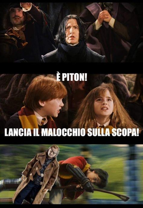 Meme Harry Potter Italiano Voldemort, Meme Harry Potter Italiano, Colleen Atwood, Hp Book, Harry Potter Quiz, Harry Potte, Harry Potter Ron, Harry Potter Comics, Harry Potter Tumblr