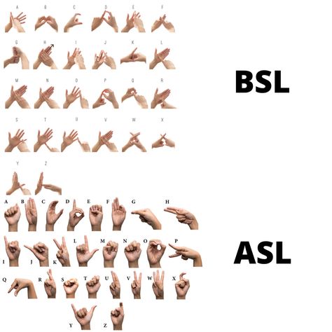 If you are a sign language enthusiast or a language enthusiast overall, it must be fascinating to you that even sign languages vary from country to country. Where in American Sign Language (ASL) is expressed using one hand, British Sign Language (BSL) is expressed using two. If you want to enrol in both of these courses, we will give you a special discount. Use coupon 👉ALPSCL👈 to get the courses for £23.98 only. Hand Sign Language Words, Sign Language Alphabet Hands, How Are You Sign Language, Sign Language Spanish, Sigh Language Alphabet, F You In Sign Language, Bsl Swear Words, Bsl Sign Language Alphabet, Black American Sign Language