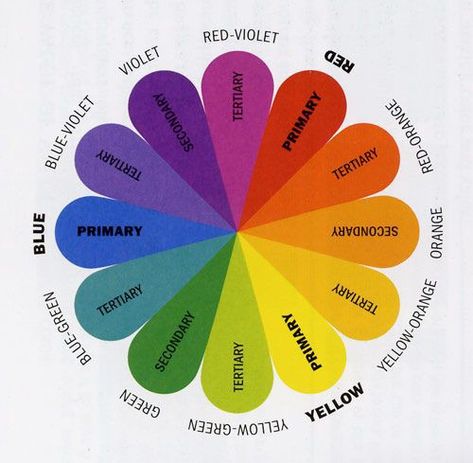 The Art and Science Behind Choosing the Right Colour Palette Family Photo Colors, Split Complementary, Tertiary Color, Free Printable Banner, The Color Wheel, Drawing Step, Foto Tips, Art Workshop, Complementary Colors