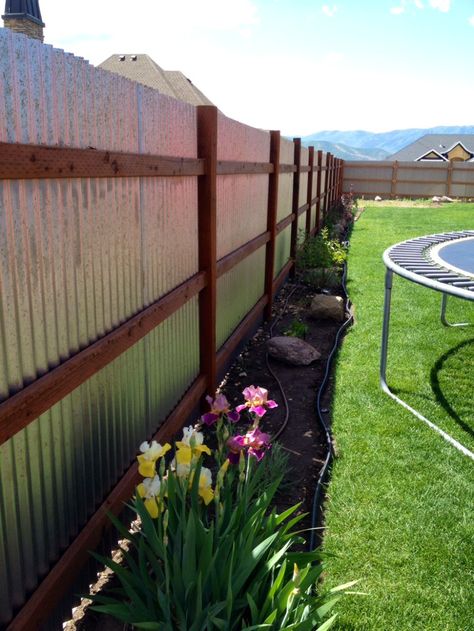 Cheap Privacy Fence, Corrugated Metal Fence, Diy Privacy Fence, Privacy Fence Designs, Cheap Fence, Cheap Backyard, Garden Ideas Cheap, Backyard Privacy, Diy Fence