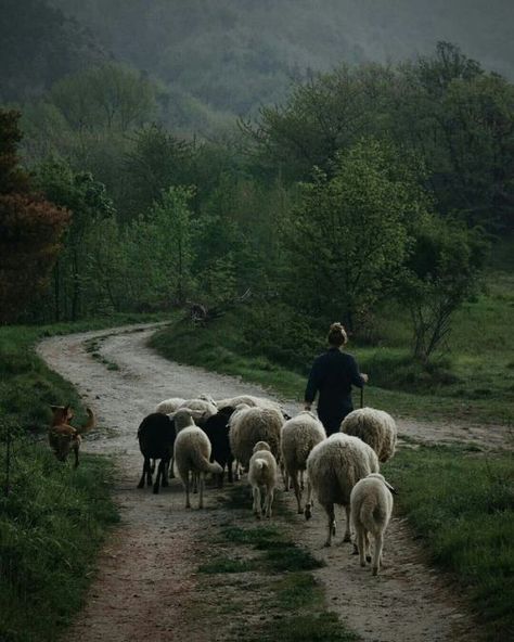 Farming Aesthetic, Countryside Life, A Well Traveled Woman, Country Gal, Sheep Farm, Dirt Road, Rural Life, The Shepherd, English Countryside