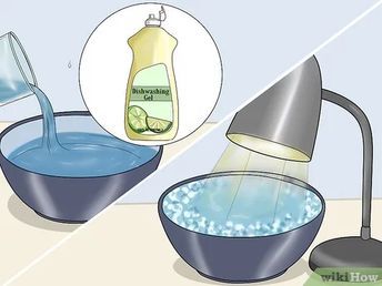 3 Ways to Eliminate Fleas from Your Home for Free - wikiHow Diy Flea Trap, Homemade Flea Spray, Dog Flea Remedies, Essential Oils For Fleas, Home Remedies For Fleas, Natural Tick Repellent, Flea Remedies, Homemade Cleaners Recipes, Flea Repellent