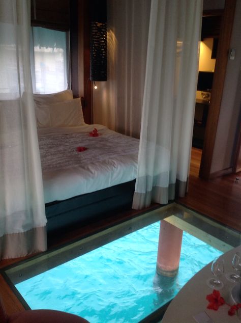 Bora Bora Bedroom over water. Le Meridian جزر المالديف, Design Yard, Bora Bora Honeymoon, Honeymoon Vacations, Vacation Goals, Glass Floor, Dream Holiday, Honeymoon Destinations, Vacation Places