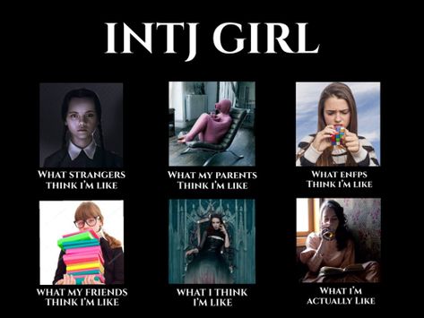 Intj Personality Checklist, Intj And Entp Friendship, Intj And Enfp Friendship, Infj Intj Friendship, Intj Enfp Friendship, Intj Intp Friendship, Enfp And Infj Friendship, Enfp And Intj Funny, Infj X Intj Friendship