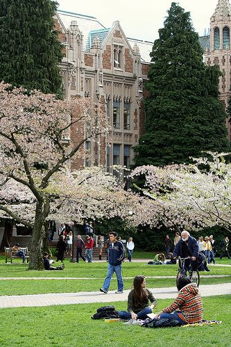 Romanticize College, Friends Studying, Romanticizing College, Experience Aesthetic, College Backpack Essentials, Campus Aesthetic, College Vision Board, Usa University, College Motivation