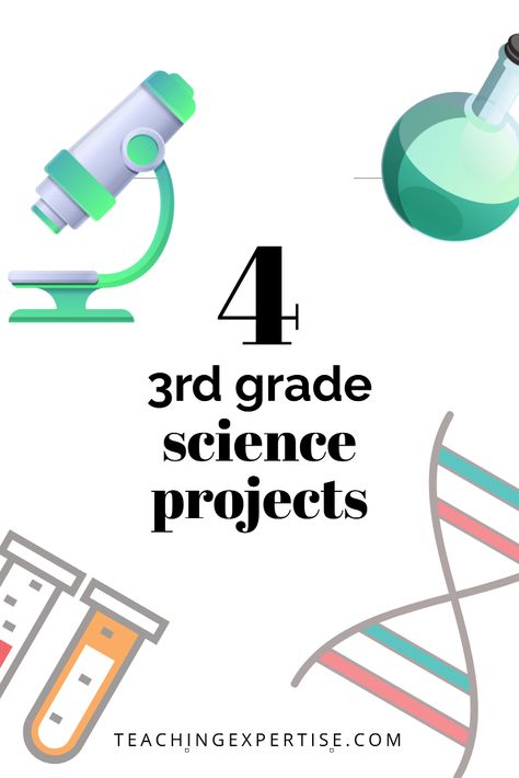 You're helping your third grader with a science project? Check out our article on how to do 3rd grade science projects. Science Experiment For 3rd Grade, Homeschool Science Experiments 3rd Grade, Easy Science Fair Projects For 3rd Grade, Third Grade Learning Activities, Third Grade Crafts Activities, Science Projects For 3rd Grade, Grade 4 Science Projects, Third Grade Science Fair Projects, Science Projects For 5th Graders