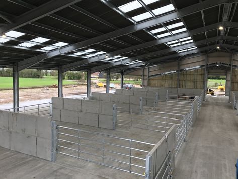 Cow Shed Design, Cattle Housing, Livestock Animals, Unusual Pets, Steel Fencing, Sheep House, Livestock Barn, Barn Layout, Cattle Barn