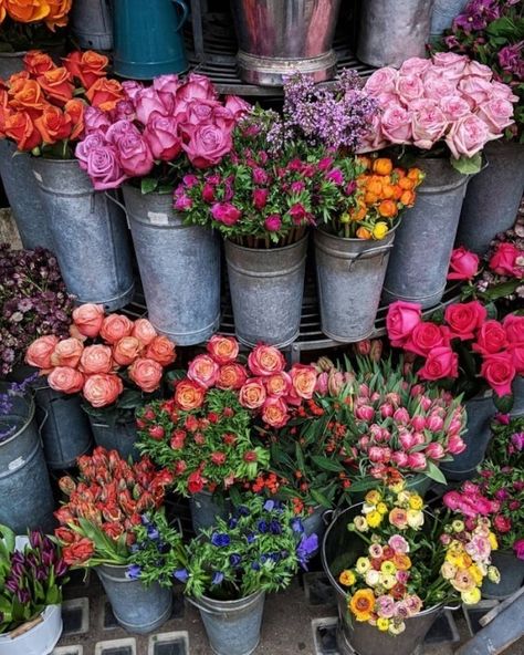 Nothing But Flowers, Flower Therapy, Plant Mom, Flower Lover, Flower Market, Flowers Nature, Love Flowers, My Flower, Flower Shop