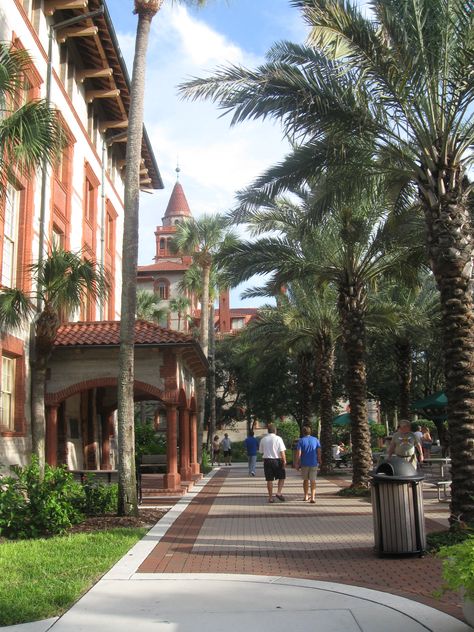 flagler college Flagler College Aesthetic, Miami College, Flagler College, University Of Tampa, Application Essay, College Aesthetic, College Fits, Dream College, Dream School