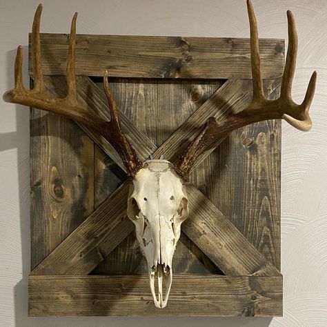 European Mount Display Ideas, Diy European Deer Mount, European Skull Mount Ideas, Euro Mount Ideas, Decorating With Deer Mounts, European Deer Mount Ideas, Deer Pedestal, Skull Mount Ideas, European Mount Ideas