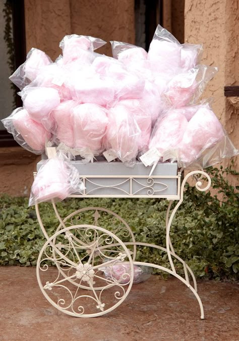 Smooth ride ~ a well worn cocktail bar frame is reborn as a cotton candy buggy for my next baby shower or ladies tea party. Cotton Candy Wedding, Cotton Candy Favors, Pink Wedding Inspiration, Candy Wedding Favors, Boda Mexicana, בר מצווה, Blush Pink Weddings, Pink Cotton Candy, Circus Party