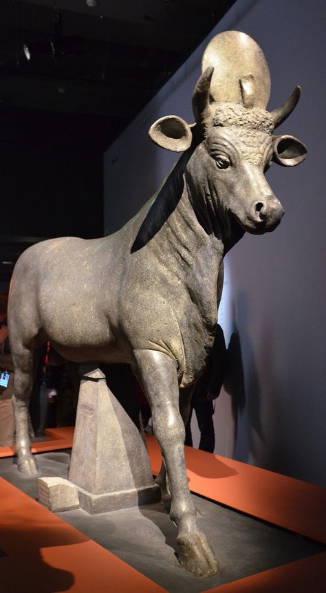 https://flic.kr/p/GA9Fkg | Lifesize basalt statue of the Apis Bull dedicated by Hadrian to Serapis in Alexandria (Egypt), Osiris, Sunken Mysteries of Egypt exhibition, Paris (2015) Apis Bull, Ancient Egyptian Artifacts, Egiptul Antic, Egyptian Artifacts, Alexandria Egypt, Ancient Animals, Egypt Art, Ancient Egyptian Art, Art Antique