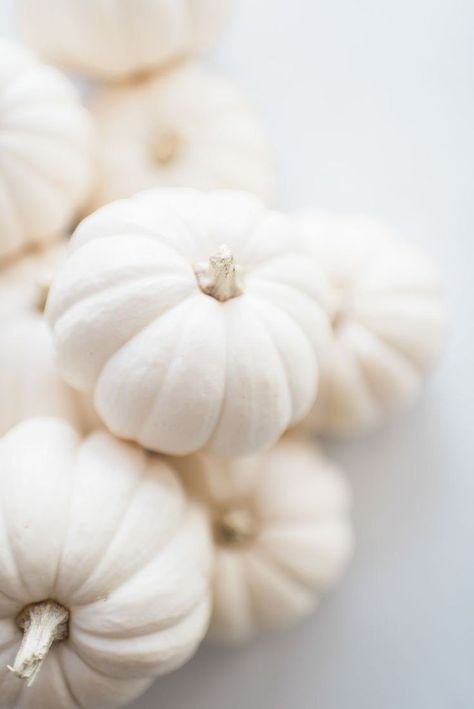 White Pumpkins Aesthetic, Pumpkins Aesthetic, Pumpkin Wallpaper, Cute Fall Wallpaper, Iphone Wallpaper Fall, Fall Background, Iphone Wallpaper Photos, Apple Watch Wallpaper, Mini Pumpkins