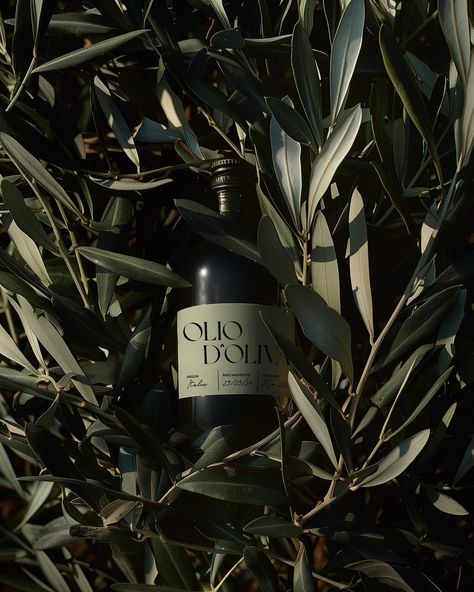 Olio D'Oliva - To celebrate the sunny weather we’ve been enjoying, we decided to draw inspiration from some projects we’ve seen online by other creators and conceptualise our own olive oil brand! Inspired by Italian olive farms and typefaces, we’ve developed a sleek yet luxurious olive oil brand. What do you think? 🫒🇮🇹 #branding #branddesign #brandidentity #oliveoilbrand #summerbrand #summertime Olive Oil Graphic Design, Green Product Photography, Olive Oil Aesthetic, Olive Oil Photography, Olives Aesthetic, Olive Oil Design, Olive Oil Branding, Olive Aesthetic, Olive Oil Candle