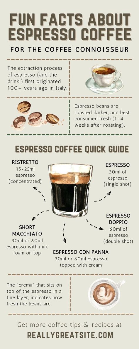 Starting A Coffee Shop, Espresso Recipes, Coffee Infographic, Coffee Guide, Coffee Facts, Coffee Today, Ground Coffee Beans, Coffee Business, Espresso Beans