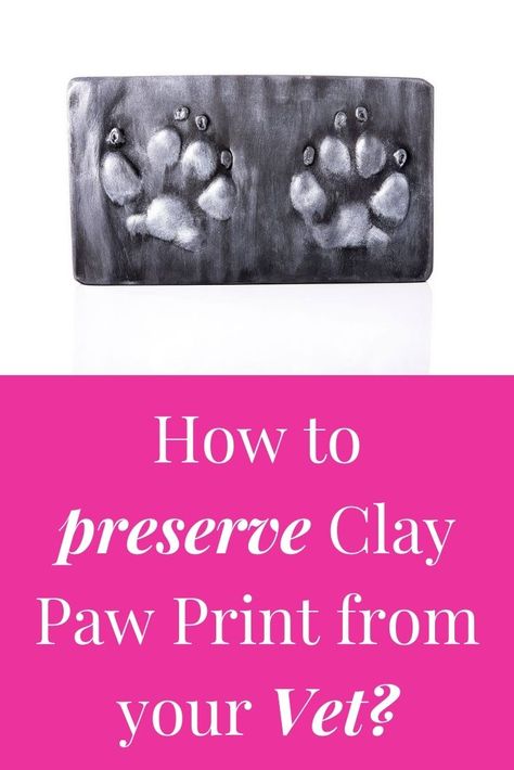 Clay Paw Print, Dog Paw Print Craft, Pet Memorial Ideas Dogs, Paw Print Crafts, Dog Clay, Tiny Paw Print, Paw Painting, Dog Paw Prints, Prints Ideas