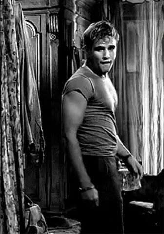 Marlon Brando Children, Marlon Brando Old, Stanley Kowalski, Marlo Brando, Marlon Brando Movies, Marlon Brando James Dean, Don Vito Corleone, Hollywood Starlet, A Streetcar Named Desire