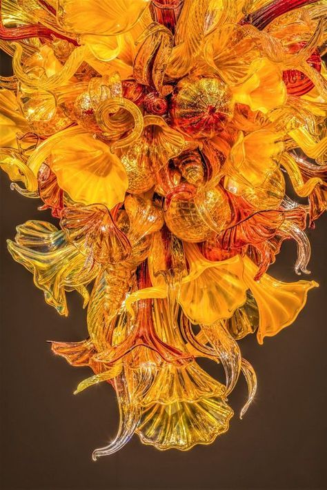 Chihuly Chandelier, Organic Flowers, Cool Things To Build, Happy First Day Of Fall, Trumpet Flower, First Day Of Fall, Flower Chandelier, Dale Chihuly, Glass Paint