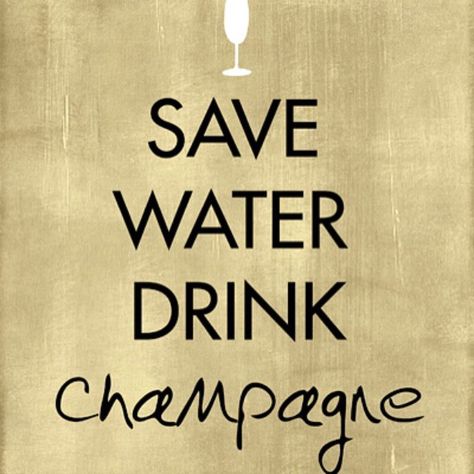 Our motto ;) #champagne #bubbles #poshtag #poshlove #poshbridalcouture #pbcminneapolis #pbcnashville Water Meme, Party Quotes Funny, Save Water Drink Champagne, Sunset Drink, Water Quotes, Happy New Year 2015, Save Water Drink, Water Aesthetic, Drinking Quotes