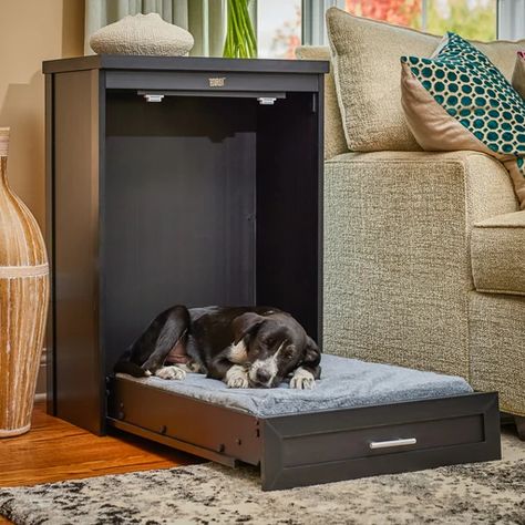 Pet Room, Dog Bedroom, Dog Spaces, Dog House Diy, Dog Crate Furniture, Dog Pillow Bed, Animal Room, Dog Rooms, Pet House