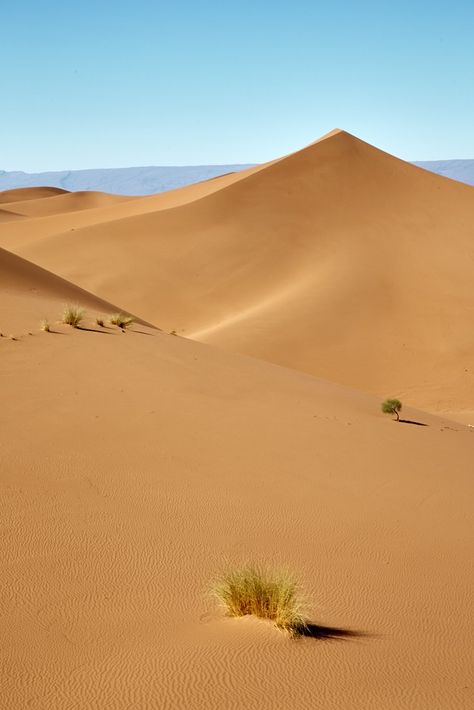 Deserts Of The World, Desert Area, Desert Photography, All Falls Down, Desert Oasis, Orange Aesthetic, Peru Travel, Desert Sand, Libya