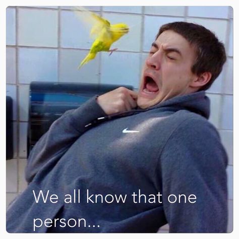 We all know that one person scared of birds hahaha Introvert Meme, Introverts Unite, Introvert Humor, Ron Swanson, Morning Humor, Memes Humor, Infj, Bones Funny, New Memes