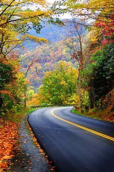 Beautiful Autumn bend. Era Victoria, Road Pictures, Fall Nature, Beautiful Roads, Trip Planner, Dslr Background Images, Photo Background Images, Autumn Scenery, Beautiful Landscape Wallpaper