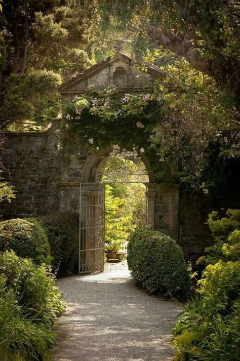 بيوت ملكية, Irish Garden, Path Ideas, Flowers Growing, Secret Gardens, The Secret Garden, Garden Path, Garden Gate, Ideas Garden