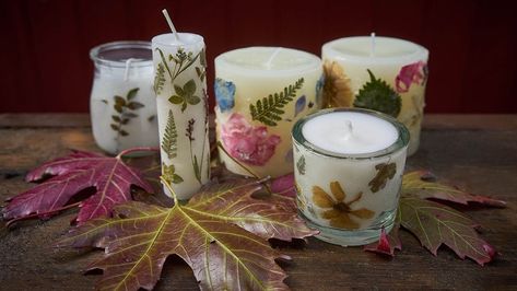 How to Make Pressed Flower Candles Diy Pressed Flower Candles, Pressed Flower Candles, Herb Candles, Flower Candles, Elderberry Gummies, Dandelion Tea, Candle Projects, Types Of Wax, Fun Things To Make