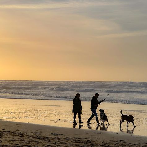 The best way to spend a winter evening (not tonight as it’s pouring!!) Wrapped up warm with a dog walk on Fistral Beach #dogwalkonthebeach #fistralbeach #fistral #dogwalkfistral #februarybeachwalk #sunsetdogwalk #sunsetdogwalks #fistralsunset #fistralsunset #newquaydogwalk #sunsetsilhouettes #sunsetdogsilhouettes Holly Aesthetic, 2024 Diary, Fistral Beach, Sunset Winter, Beach Evening, Winter Beach, Winter Evening, Dog Walk, Evening Walk