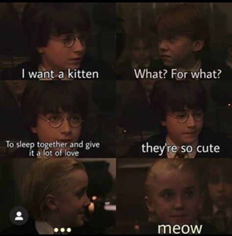 Drarry Pansmione Blairon, Harry Potter Funny Pictures, Harry And Draco, Citate Harry Potter, Harry X Draco, Draco X Harry, Harry Potter Quizzes, Drarry Fanart, Funny Harry Potter Jokes