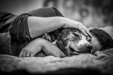 Dog Last Day, Family Dog Photos, Pet Photography Poses, Dog Photoshoot Pet Photography, Dog Photography Poses, Animal Photoshoot, Photos With Dog, Emotional Support Dog, Dog Died