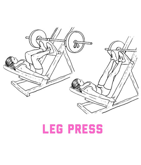 Leg press Machine Aesthetic, Leg Press Machine, Woman Sketch, Leg Press, Press Machine, Lower Body, Healthy Body, Peace Gesture, Gym