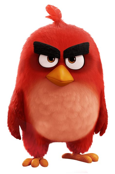 Angry Birds Movie Red, Animated Birds, Angry Birds Characters, Red Angry Bird, Birds Movie, Angry Birds Party, Animation Movies, Angry Birds Movie, Bird Party