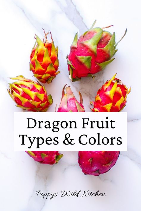 Six dragon fruit specimens with variations of pink skin and green scales. Dragon Fruit Types, Dragon Fruit Varieties, Dragon Fruit Tree, Dragon Fruits, Dragon Fruit Plant, Types Of Dragons, Kitchen Herbs, Potted Trees, Fruit Plants